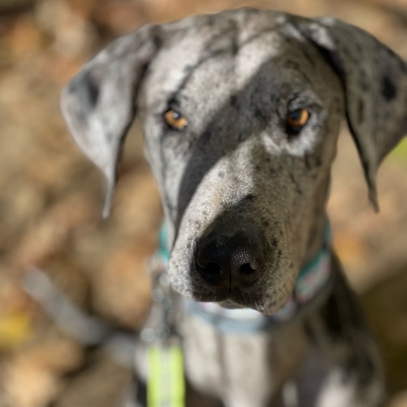 Hello! If you are here, thank you for checking out my page. I appreciate you! 🧡 - Picture 4 of 16